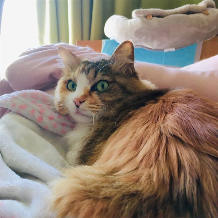 Aea75385 7c84 4eae 9675 8042abf90e70 1622182548876