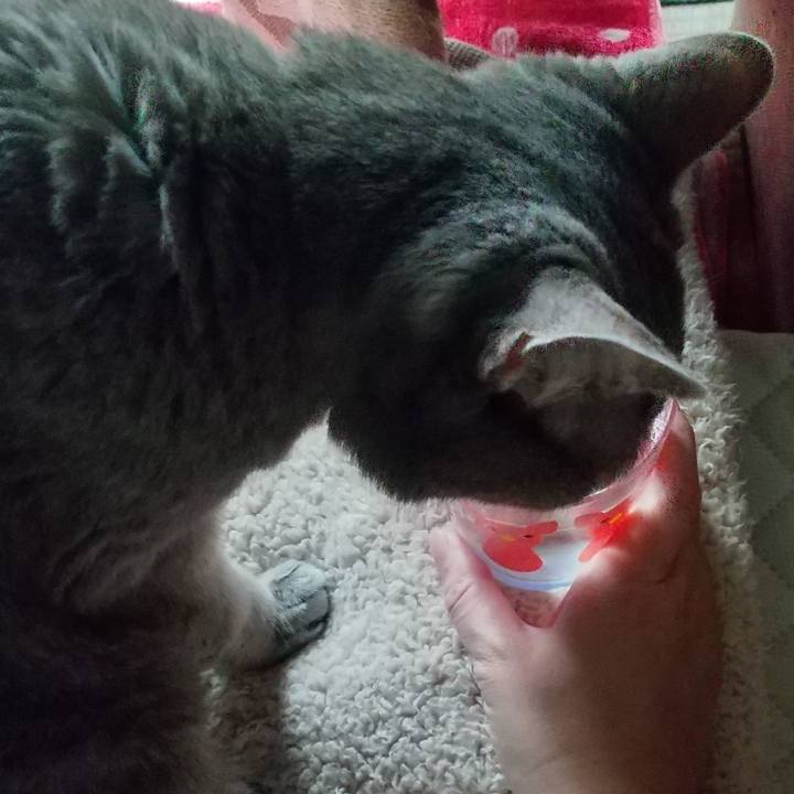 Aea783e0 c434 4be3 abd2 f0692b444689 1685319066997