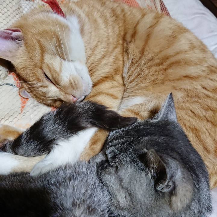 Aea78c42 4cb2 42fd ab99 5c5caa978d1f 1574688964755