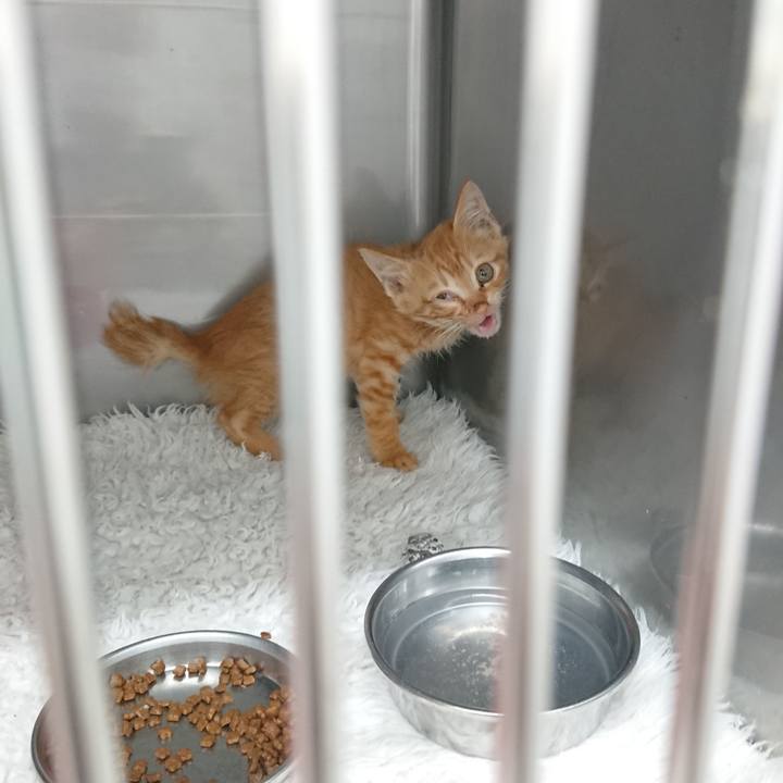 Aea79879 4325 4beb a530 06de0c088b61 1627707043949