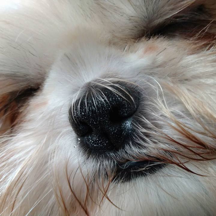 Aea7b49e badf 4edc 99db 075cda03e4ab 1603539371938