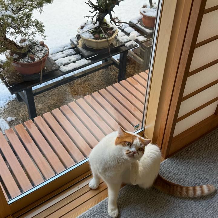 Aea7bc10 7470 4db4 8db8 602dc858b14c 1767405942652