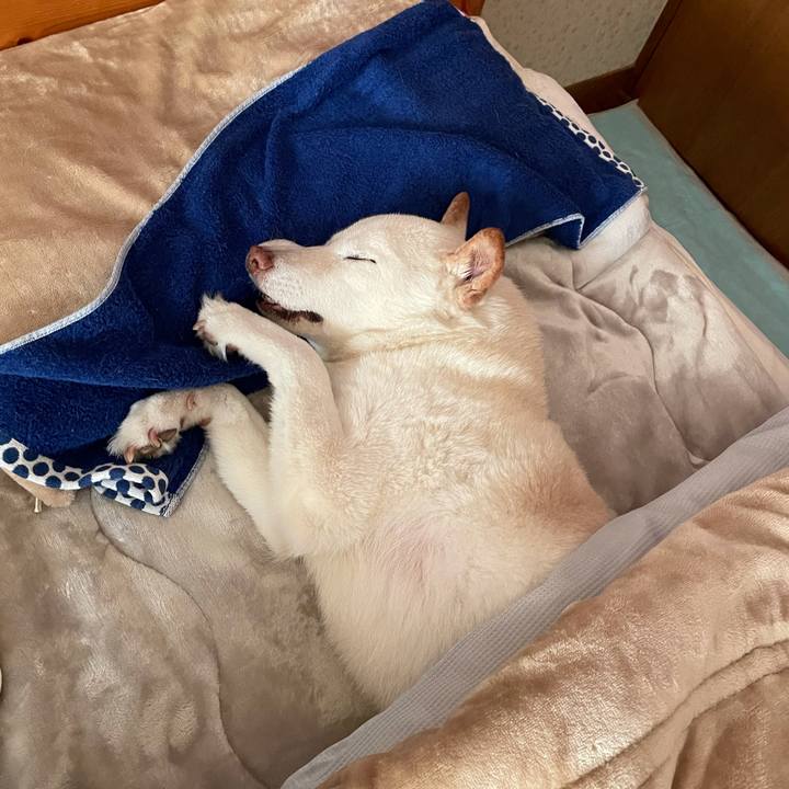 Aea7d5c4 5030 40f0 bb4f 755b0d0c4e0f 1639231765995