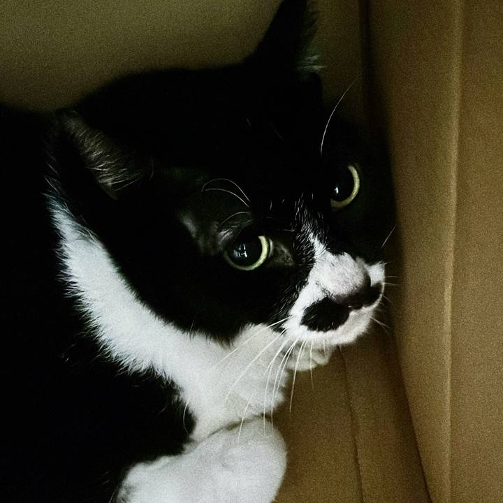 Aea7d787 6c9a 4c56 ac4e 361b7b37a709 1714092875806