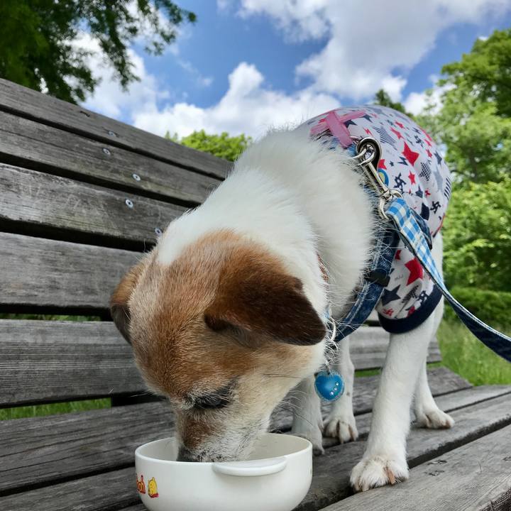 Aea7db0c fb70 4bc2 ab5c 952fc00c0a67 1653198906059