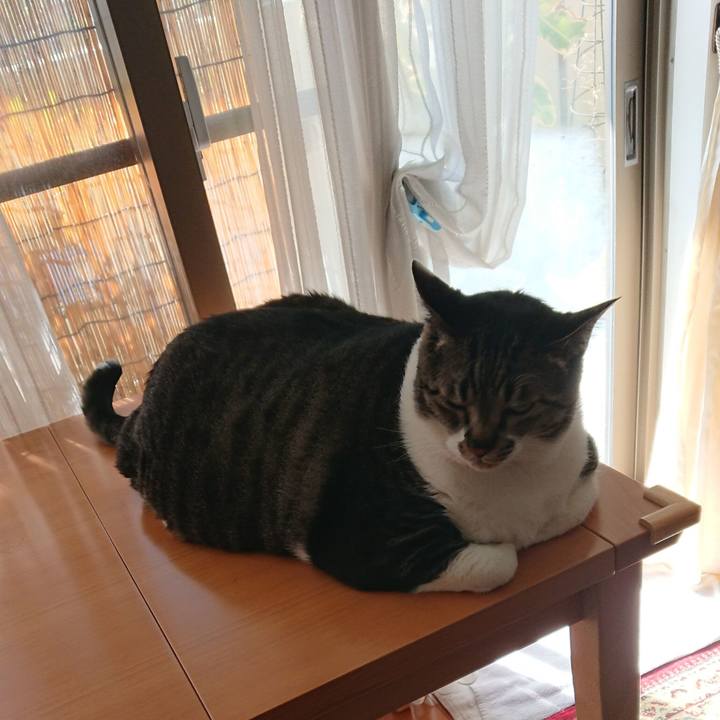 Aea7e0b1 2acb 43bf 9ee2 5f61e763ef3d 1560290699099