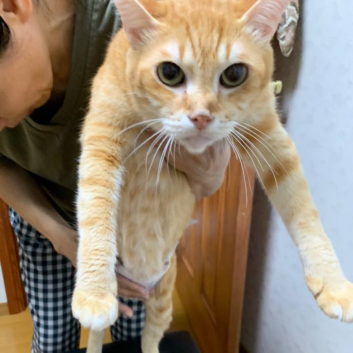 Aea835bc 07dd 4227 a2d8 0df2e6c2e4a1 1666437795216