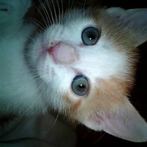 Aea84c3a 8d4b 4c47 a91f f5b77f61e750 1680028215350