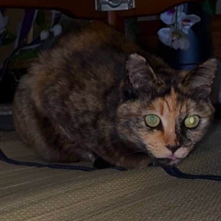 Aea85a96 75d0 404c 88db 894cc7e7d9fc 1745613681702