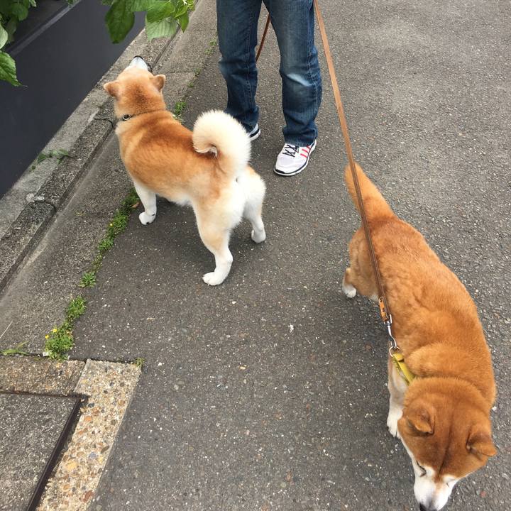 Aea89839 b906 471e 8e21 c509f8cd5968 1525405689700