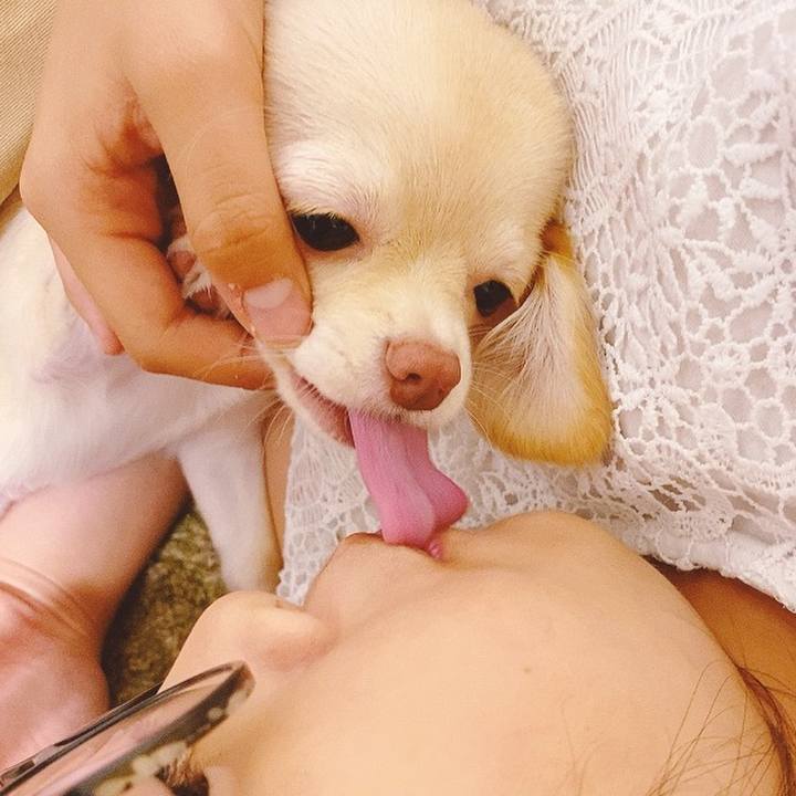 Aea8c42c d72f 478e ab4d 7414d22cc0b0 1598598952296