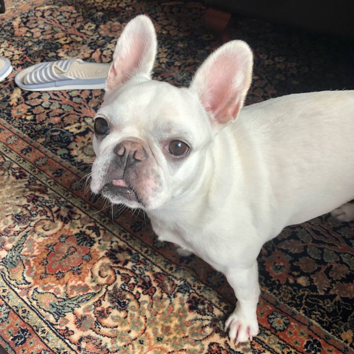 Aea8cc20 b96e 4968 81e2 14983a65b157 1601085987603