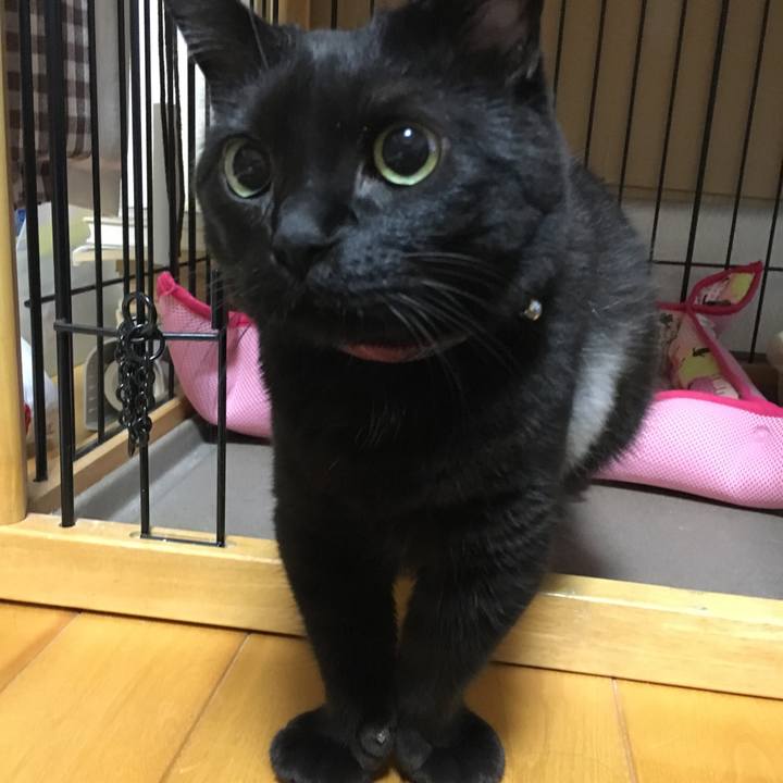 Aea8ec3f cdfa 47a2 bacc 88471f985347 1509964645208