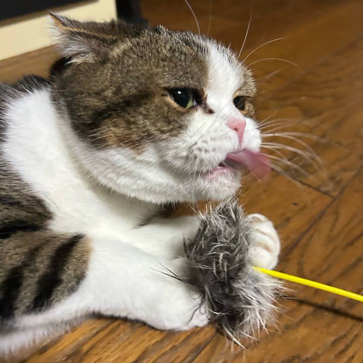 Aea8f359 f2f1 44fb bb64 c2cba4551980 1763502834384