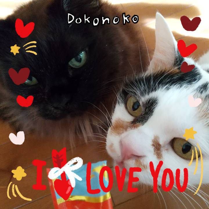 Aea91400 82f9 40d9 8c97 e46c8e533d68 1707350902769