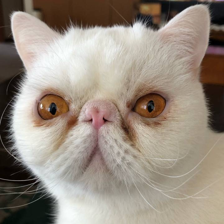 Aea924d4 9006 4dca 9ce1 381a98427ffb 1677326447351