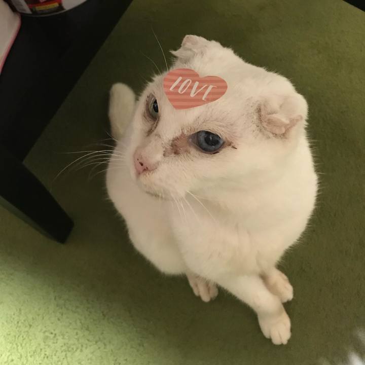 Aea937cf 5417 4359 acdc 916a1e085a2b 1520859577143