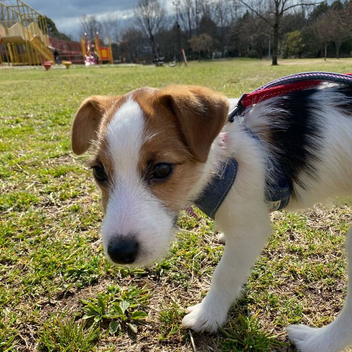 Aea93ac3 9439 4dd4 9d3d b81b75558b11 1615004692382