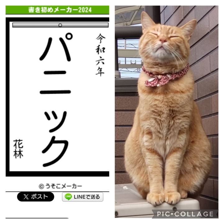 Aea94780 5661 4820 a285 a2f44d987e0e 1705240336241