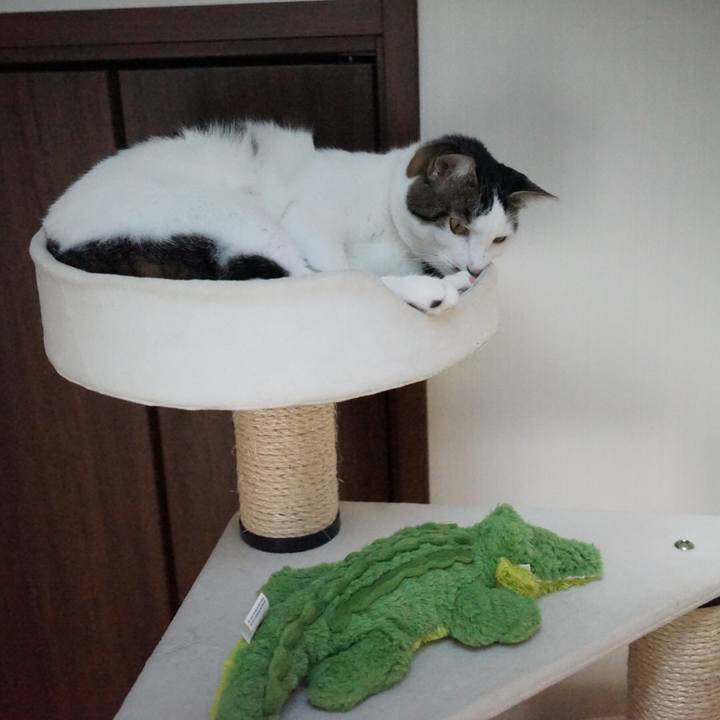 Aea94b28 3e1a 43f9 b958 a2397cde8f7e 1540087523106