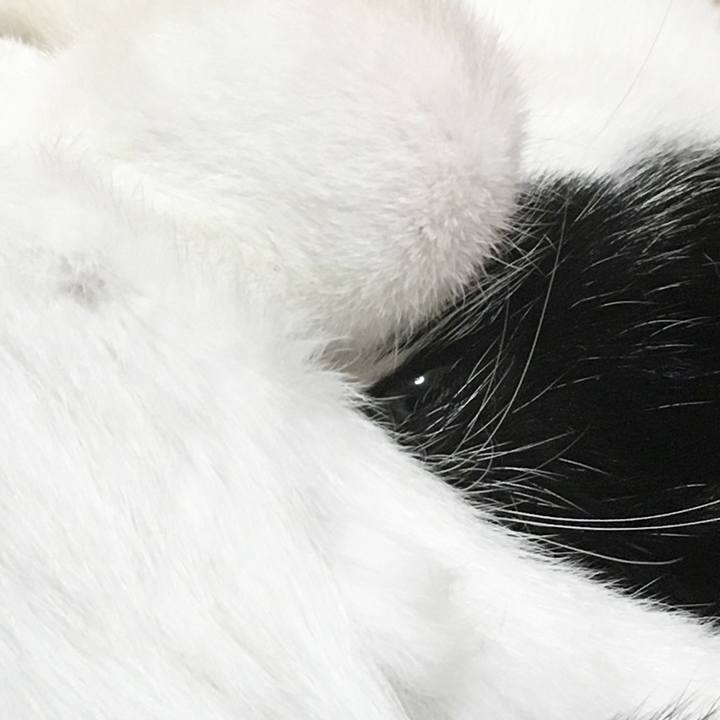 Aea9c98e da10 4c3a 86e7 b15c48140e3d 1547386078934