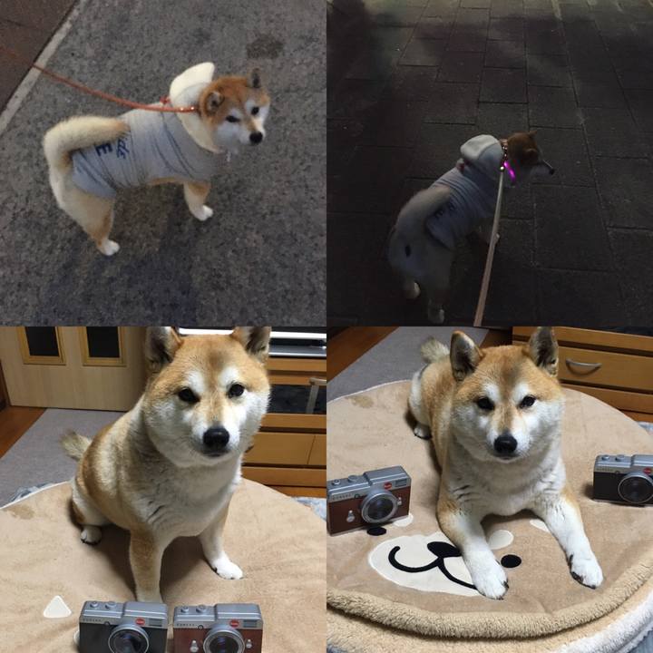 Aeaa385b e8f9 447d b1db 570186287c59 1579165098343