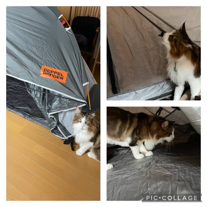 Aeaa432e 0405 4383 9513 d7d7c71be8c8 1722155590594