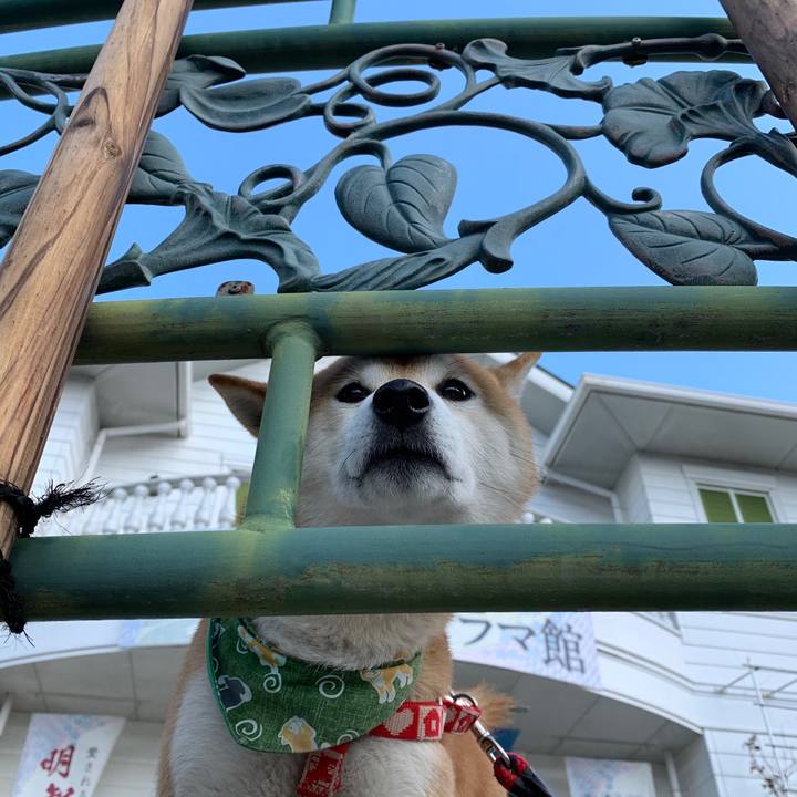 Aeaa434f 2993 4977 81be 02cbc98976cb 1583572414933