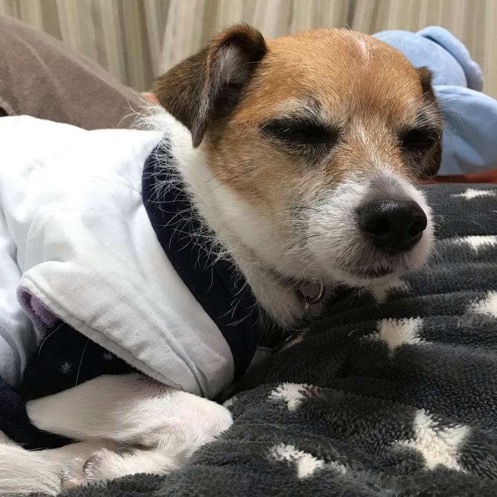 Aeaae9da 923f 4e3f 9fb9 604bf7f767b9 1544535217171