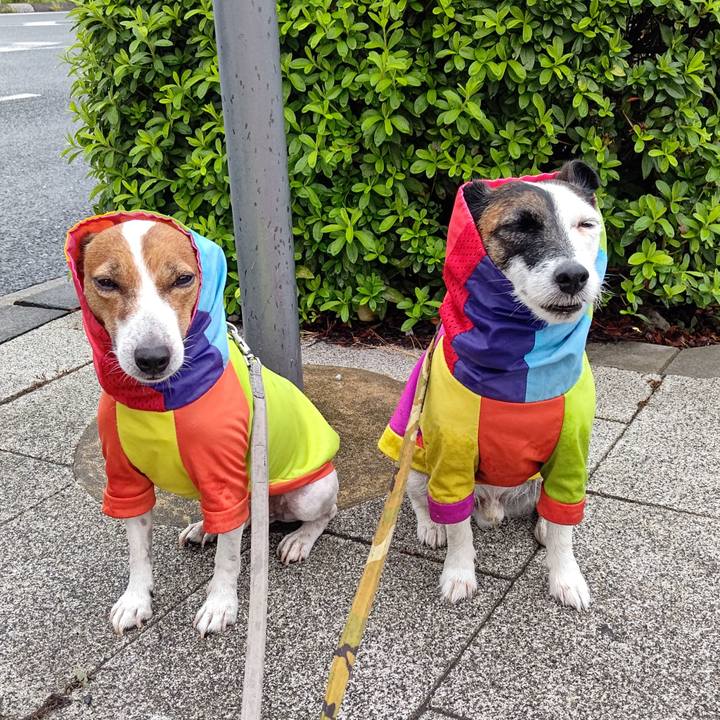 Aeab340c 5cac 4d21 b6df 404e4e2e8091 1696372841144