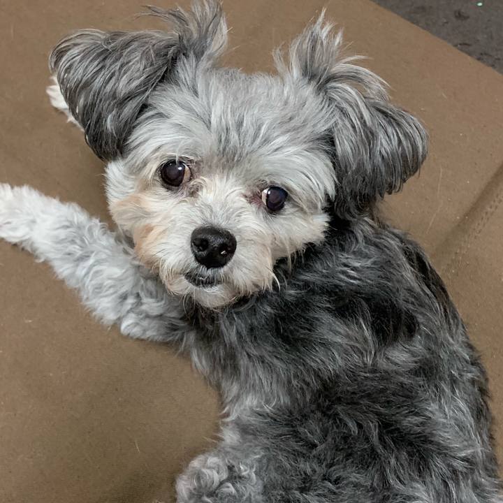 Aeab36cc 2410 444f 8b0e 80daa23f443b 1542627483981