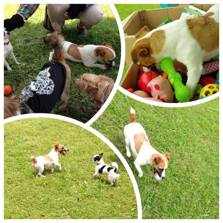 Aeab99dc b4dc 487e 8755 f93aa72f0a50 1656464272429