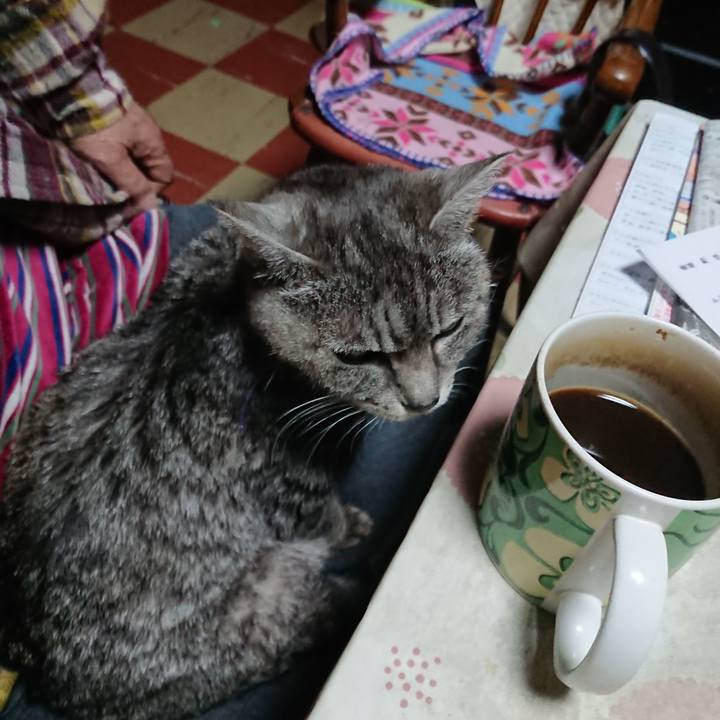 Aeabad98 f5a8 4069 afe6 3ecd2456c178 1579899016080