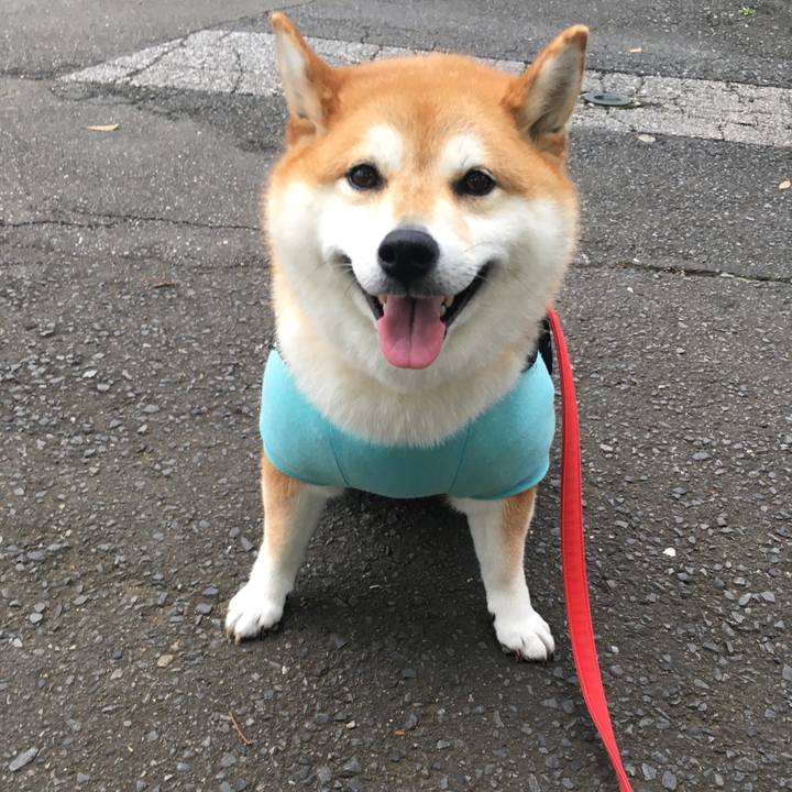 Aeabc1ac c38e 4e16 8a58 b031854cfea2 1594719657647