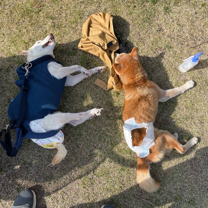 Aeabc99a 9651 4d80 b6cc 09869fe4261f 1678711121856