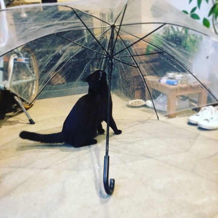 Aeabd7b2 e9fc 431a b792 1adaf2db9ae3 1530243162119