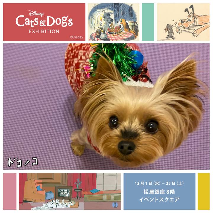 Aeabe233 6ce9 4db1 9cc9 001893362821 1638568792128