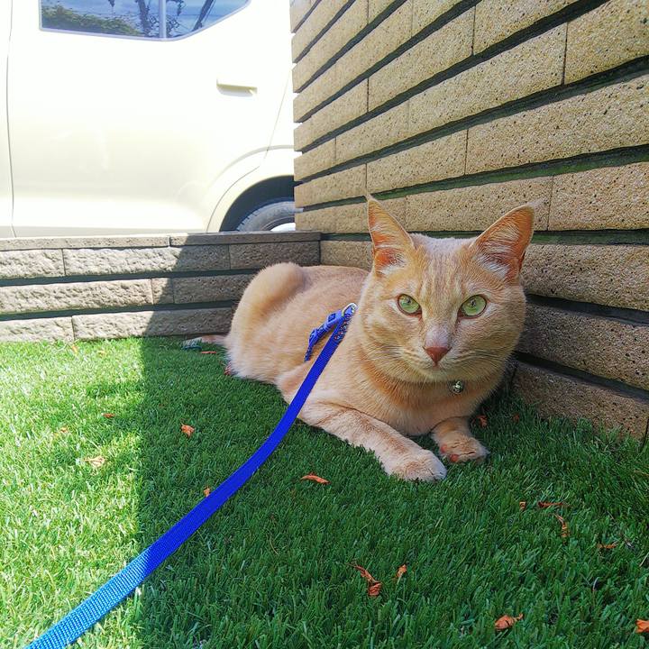 Aeac0d59 48c5 4e06 a252 5b89a420bc65 1629513957239