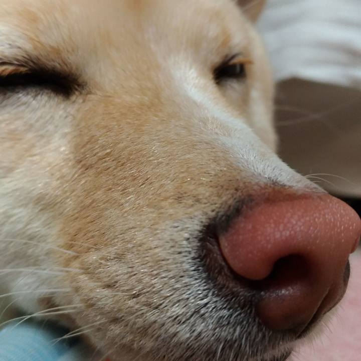 Aeac0fbc d09f 4915 8172 838ecc1d6b6e 1523529813903