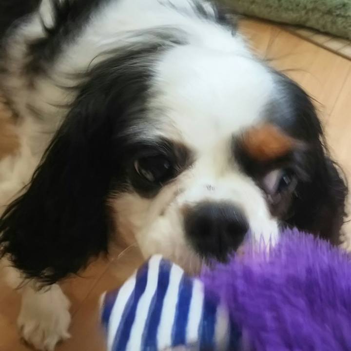 Aeac246e b0ad 4c1a bccc 16d8b0543a35 1529539090143