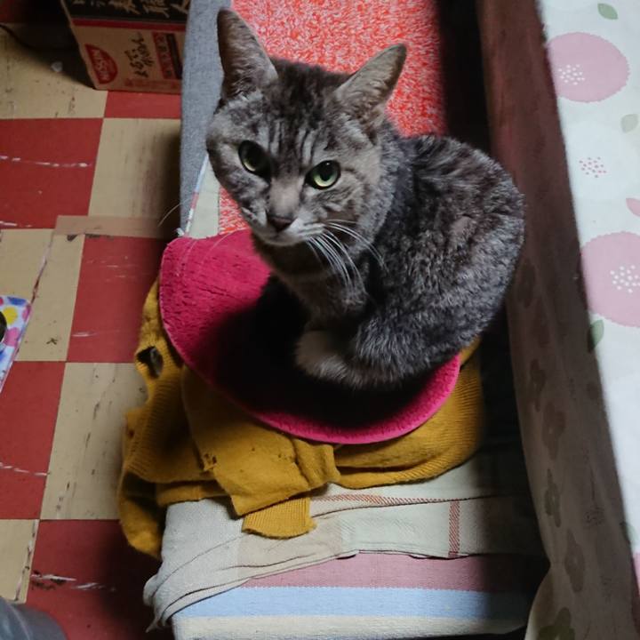 Aeac259c fb66 4158 bcec 04c16781a84e 1556223417718