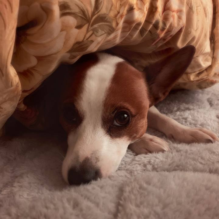 Aeac3974 791d 4b1f 9cd9 e68c2271afeb 1571977790325