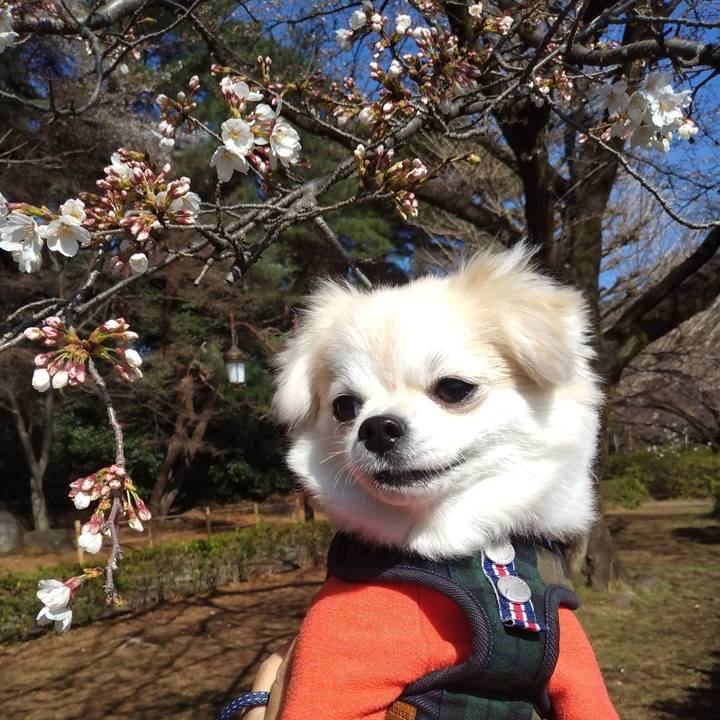 Aeac73f8 6869 459b adfa 6146bacdd90b 1679835606493