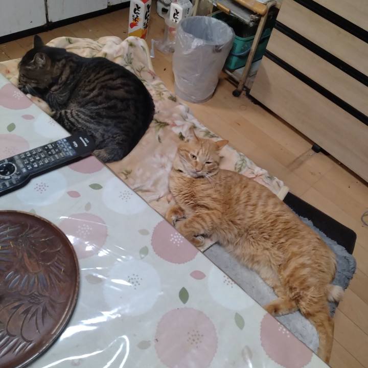 Aeac77e6 9ef4 44d7 9ea5 aa14b106ddac 1673690440707