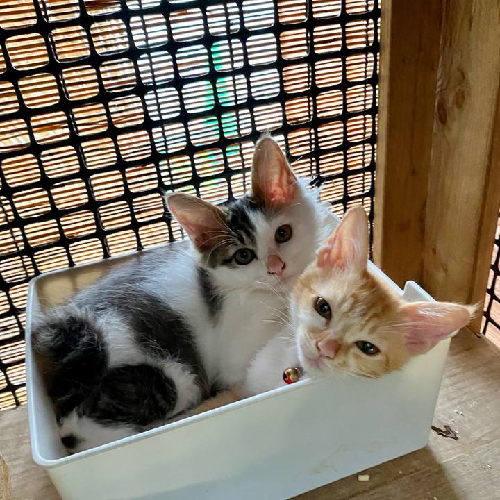 Aeac8dd4 6aef 4209 87c1 79906f08a93e 1631320833788