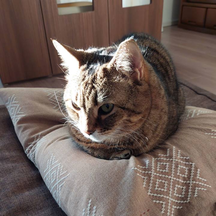 Aeacba79 6e30 4bb0 82ef 57a2d941e1cc 1673563834306