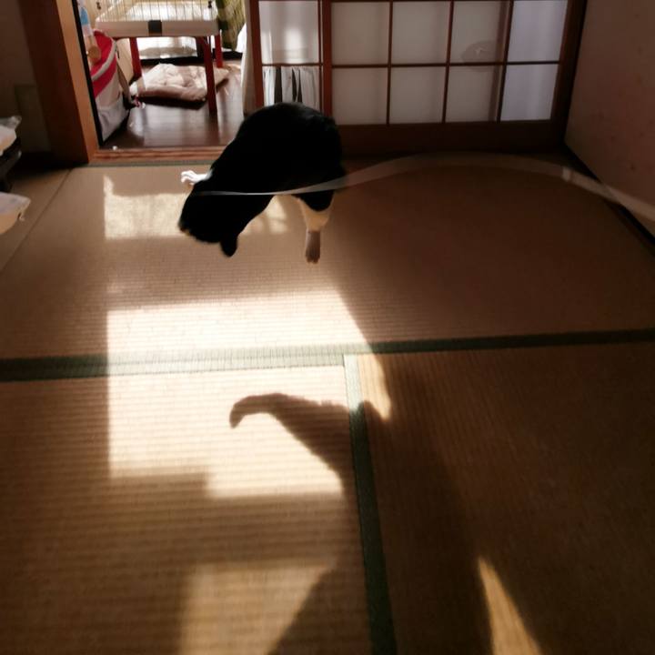 Aeaceb67 d50f 4bec 86f7 ec6bb7d5be27 1635830035010