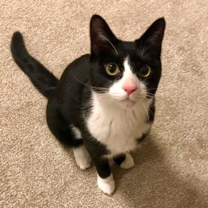 Aeaceffa 0d21 4b64 936a 2656c5a3ecf0 1517908006628