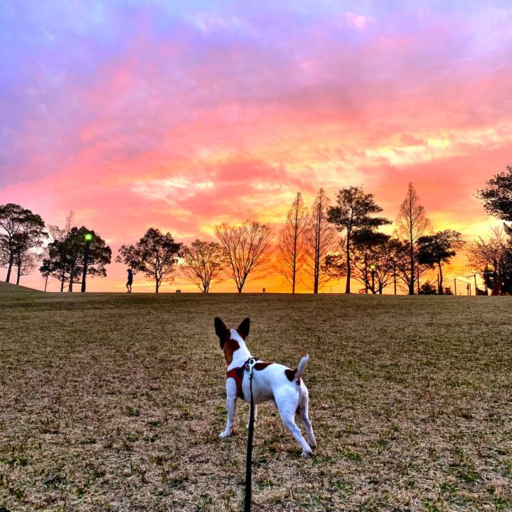 Aead2269 634d 40f6 93a3 5a280b6189db 1554471436410