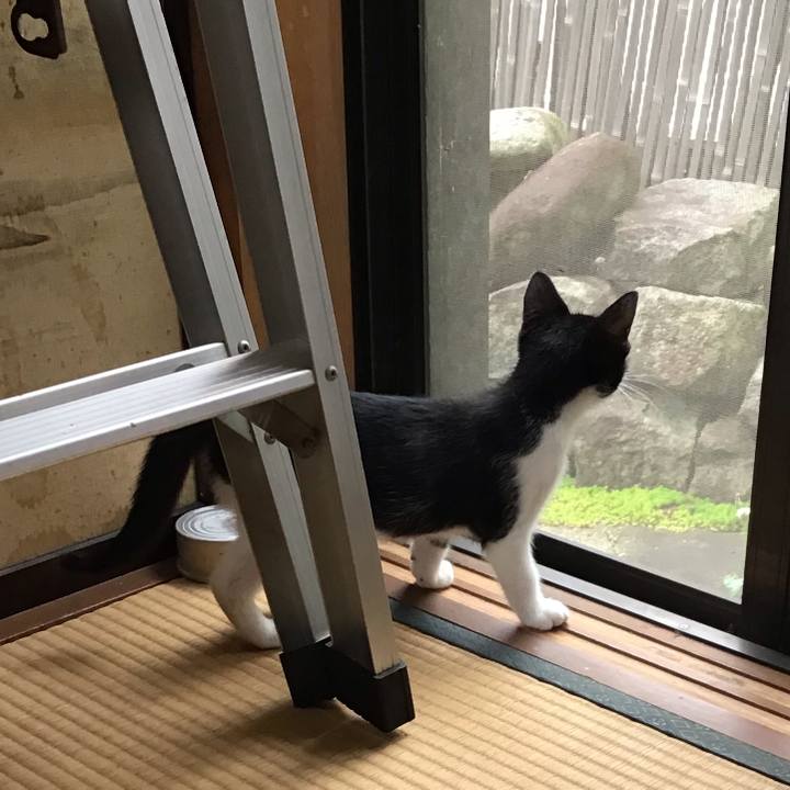 Aead2329 64a3 4484 b5ba c794a47f260f 1625381956790